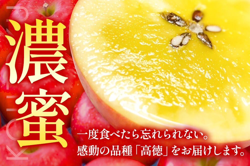 【26年12月発送】りんご 高徳（こうとく）【特選】約2kg 先行受付 青森県 弘前市 果物 フルーツ 林檎 リンゴ くだもの ギフト 贈り物 [先行予約 産地直送 アップル おいしい 果実 美味 甘い 赤色]