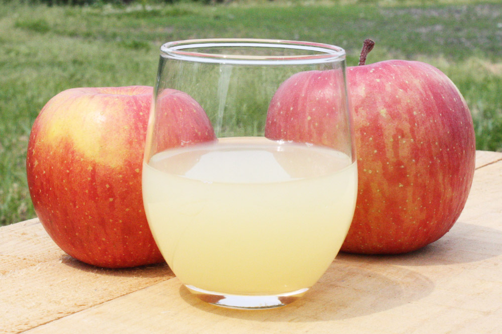 ããããžã¥ãŒã¹ ã¹ãã¬ãŒãææ±ãææªåã1000mlÃ6æ¬ çŽãã㯠ãŽãŒã«ã蟲å ããããååº