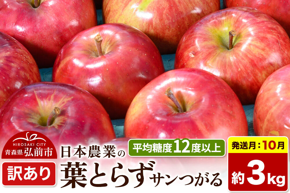 【26年10月発送】りんご 葉とらずサンつがる【訳あり】約3kg 平均糖度12度以上 青森県産 果物 フルーツ 林檎 リンゴ くだもの 不揃い 規格外 [家庭用 産地直送 アップル 青森県 弘前市]