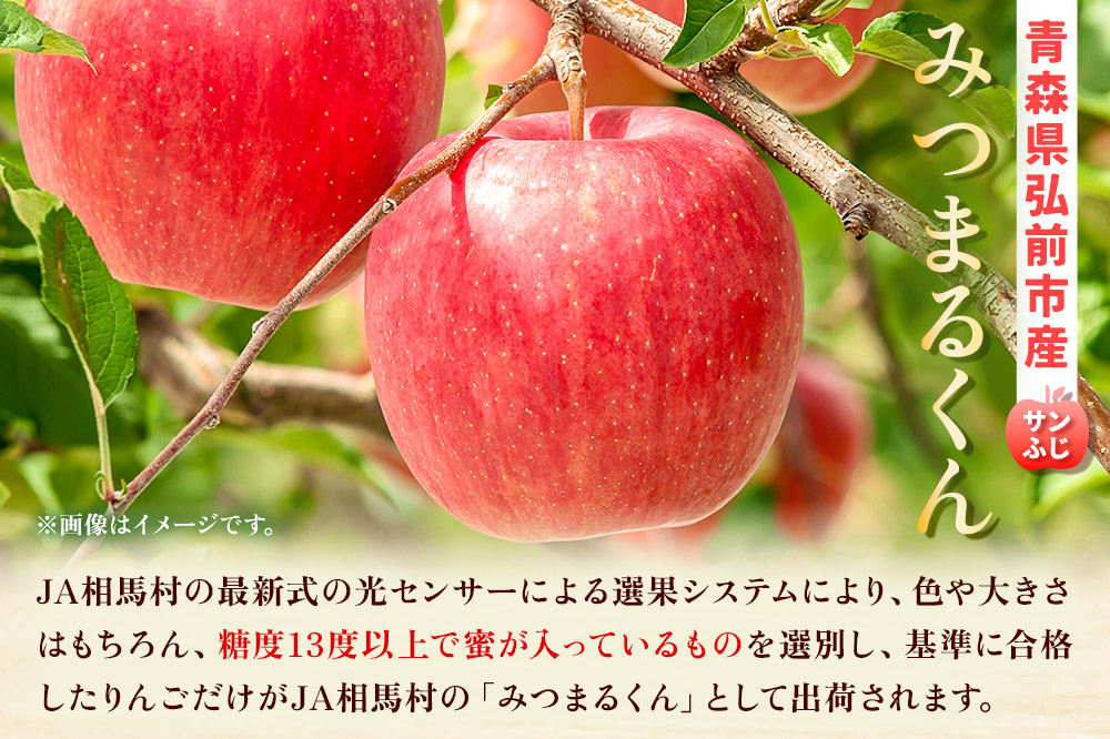 ã25幎11æãçºéãããã èå
¥ã ãµã³ãµãïŒã¿ã€ãŸãããïŒçŽ 2.5kg ç³åºŠ13床以äž