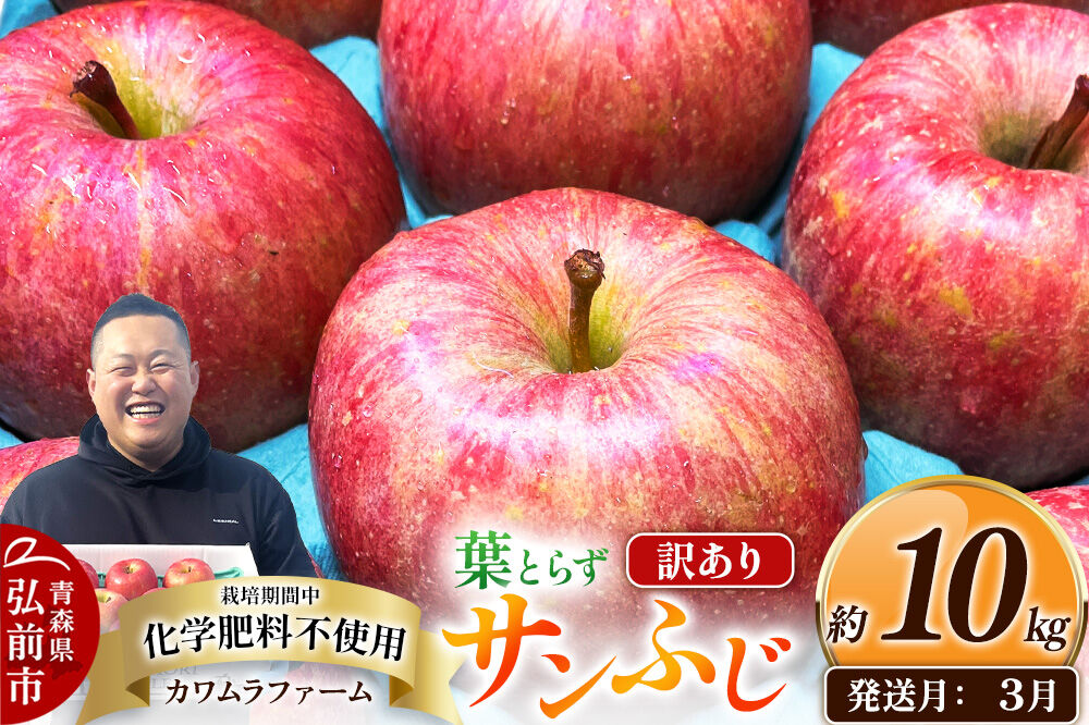【27年3月クール便発送】りんご 葉とらず サンふじ【訳あり】約10kg【先行受付】カワムラファーム 青森県 弘前市 果物 フルーツ 林檎 リンゴ くだもの 不揃い 規格外 [先行予約 クール便 産地直送 アップル おいしい 果実 美味 甘い 赤色]