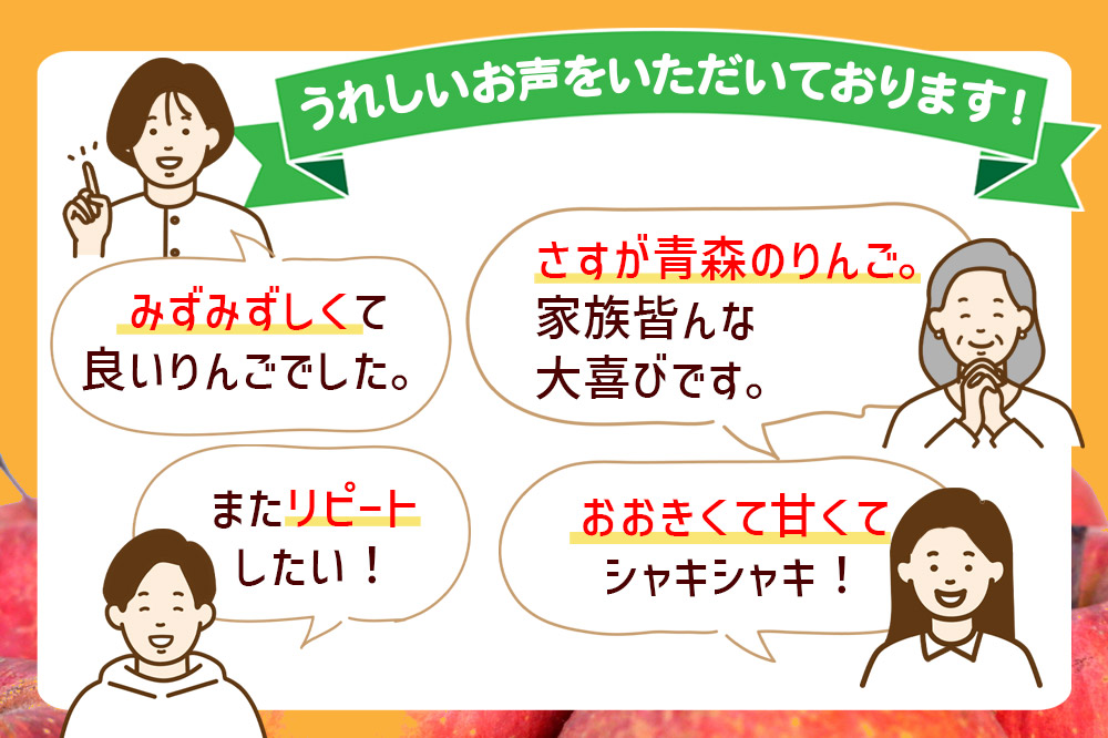 【26年2月発送】りんご 贈答規格 サンふじ 約 3kg（9〜12玉程度）