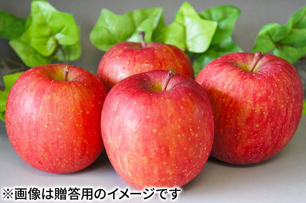 【27年1月発送】りんご サンふじ【訳あり】約5kg（14〜23玉程度）糖度13度以上 先行受付 青森県産 林檎 リンゴ 果物 くだもの フルーツ 青森県 弘前市 不揃い 規格外 [先行予約 産地直送 家庭用 アップル おいしい ふじ 果実 美味 甘い]