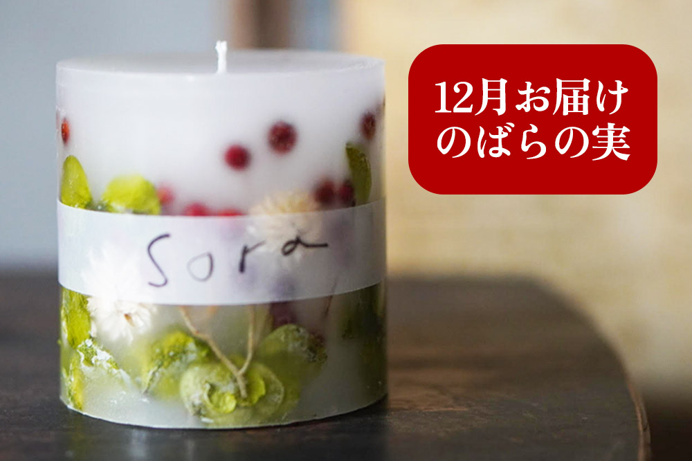 《定期便全4回》配送月固定 ボタニカル キャンドル  全4個（1個×4回お届け）【3ヶ月に1回お届け 3月 6月 9月 12月】