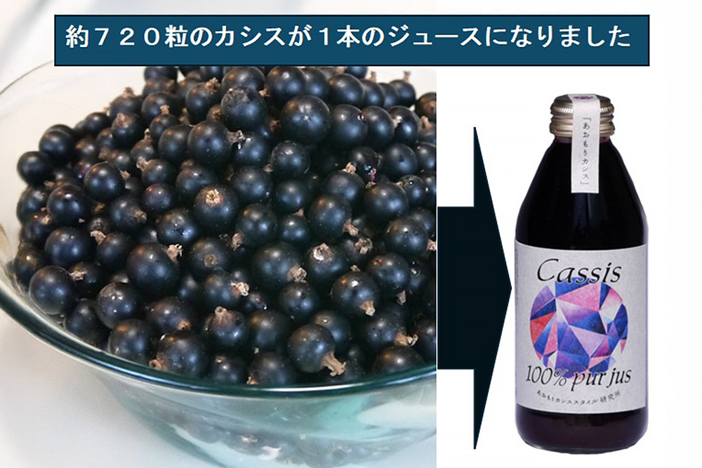 カシス果汁100％ジュース（無加糖・無添加）250ml×2本【果汁飲料】