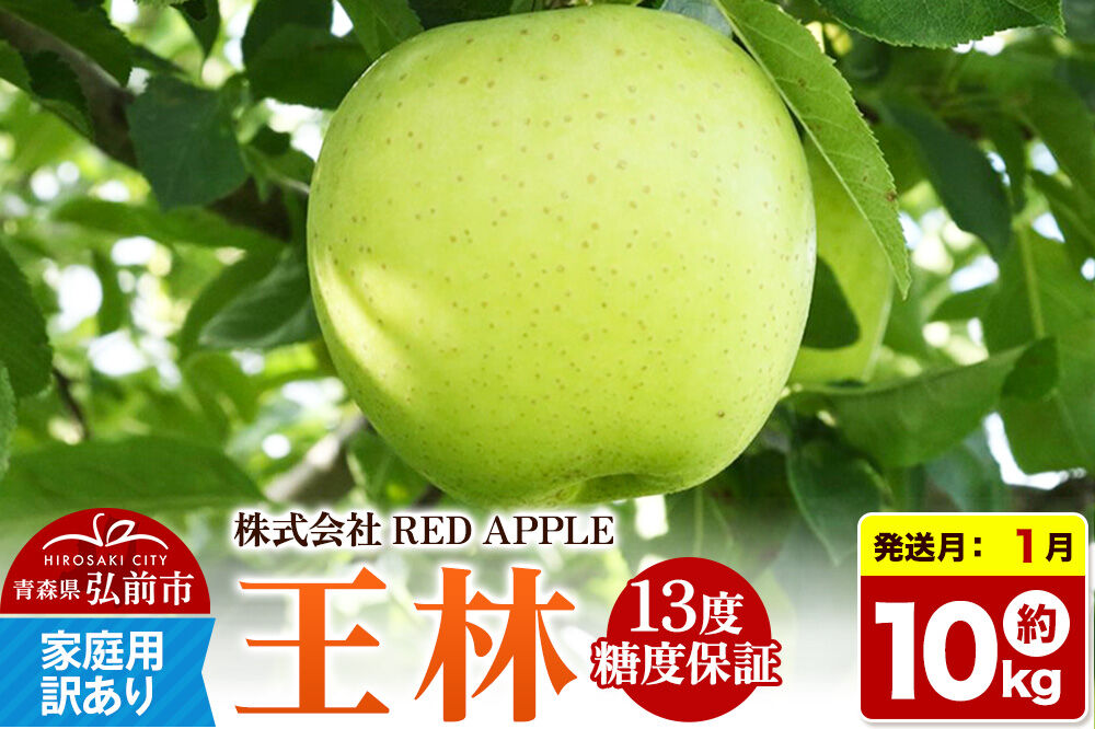 【27年1月発送】りんご 13度糖度保証【訳あり】家庭用 王林 約10kg 先行受付 [アップル おいしい りんご 王林 黄色 果実 果物 糖度 美味 林檎]