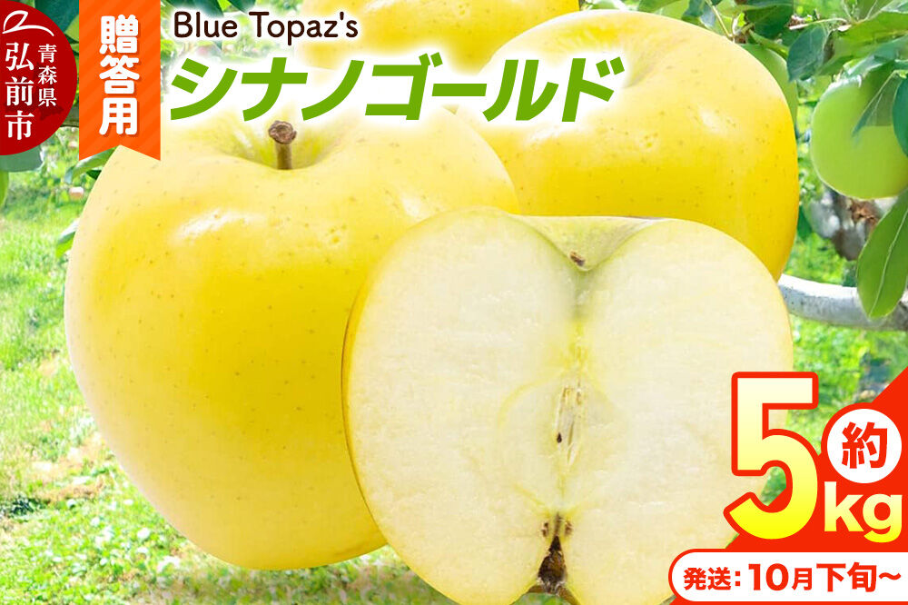 【26年10月下旬〜発送】りんご シナノゴールド【贈答用】約5kg 内のし付き 青森県 弘前市 [先行予約 アップル おいしい ふじ りんご 果実 果物 黄色 津軽 糖度 美味 林檎]