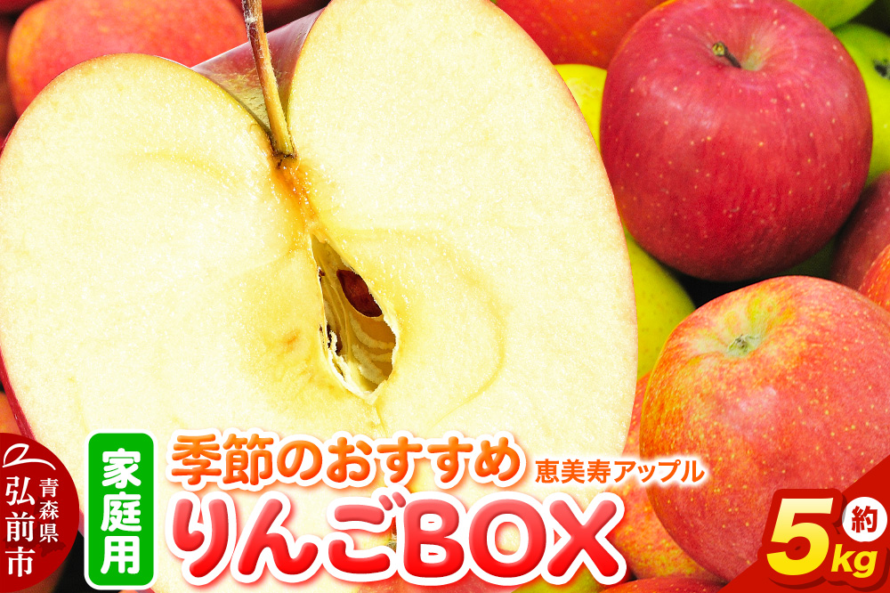 【どんな品種が届くかお楽しみ】季節のおすすめりんごBOX 詰め合わせ 約5kg 【家庭用】 青森県 フルーツ 果物