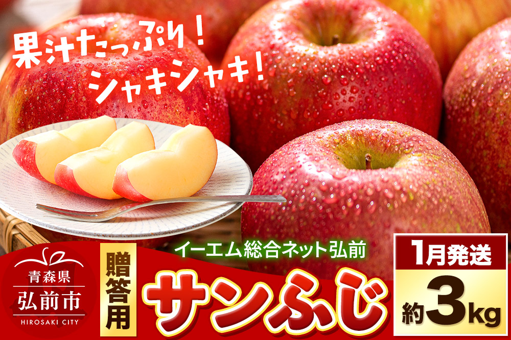 【26年1月発送】りんご  贈答用 サンふじ 約3kg 糖度 13度以上 EMりんご