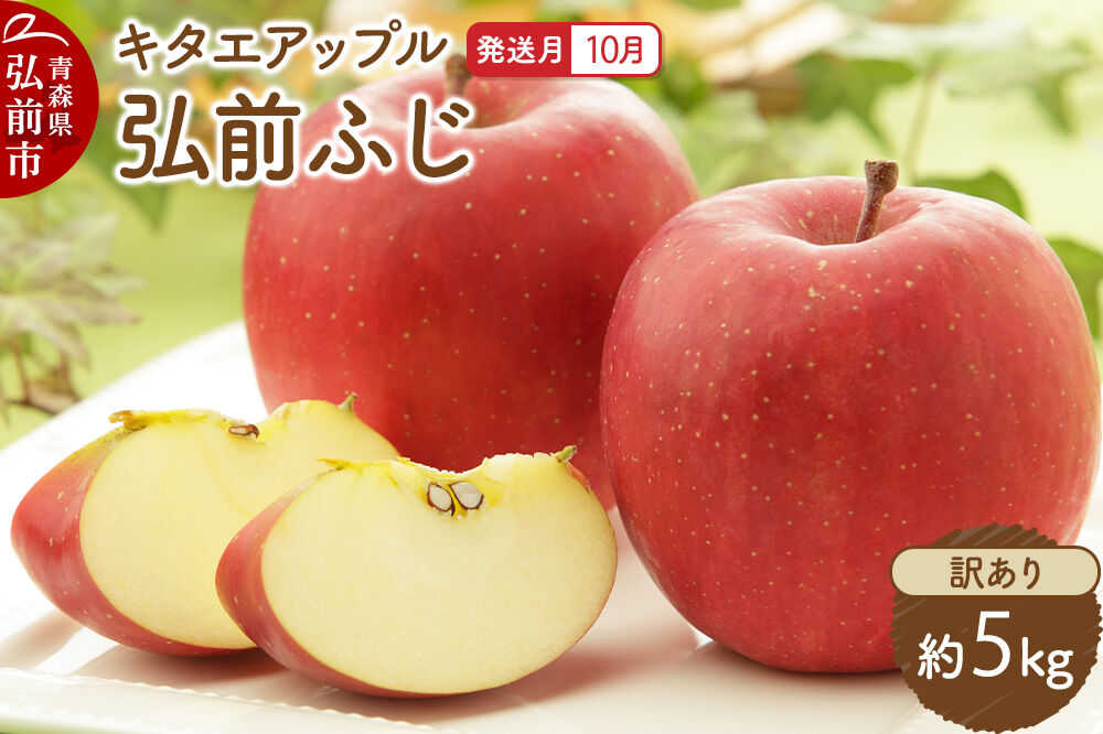 【26年10月発送】りんご 弘前ふじ【訳あり】約5kg キタエアップル 青森県 弘前市 [先行予約 弘前ふじ りんご 訳あり 家庭用 アップル おいしい 果実 果物 赤色 美味 林檎]