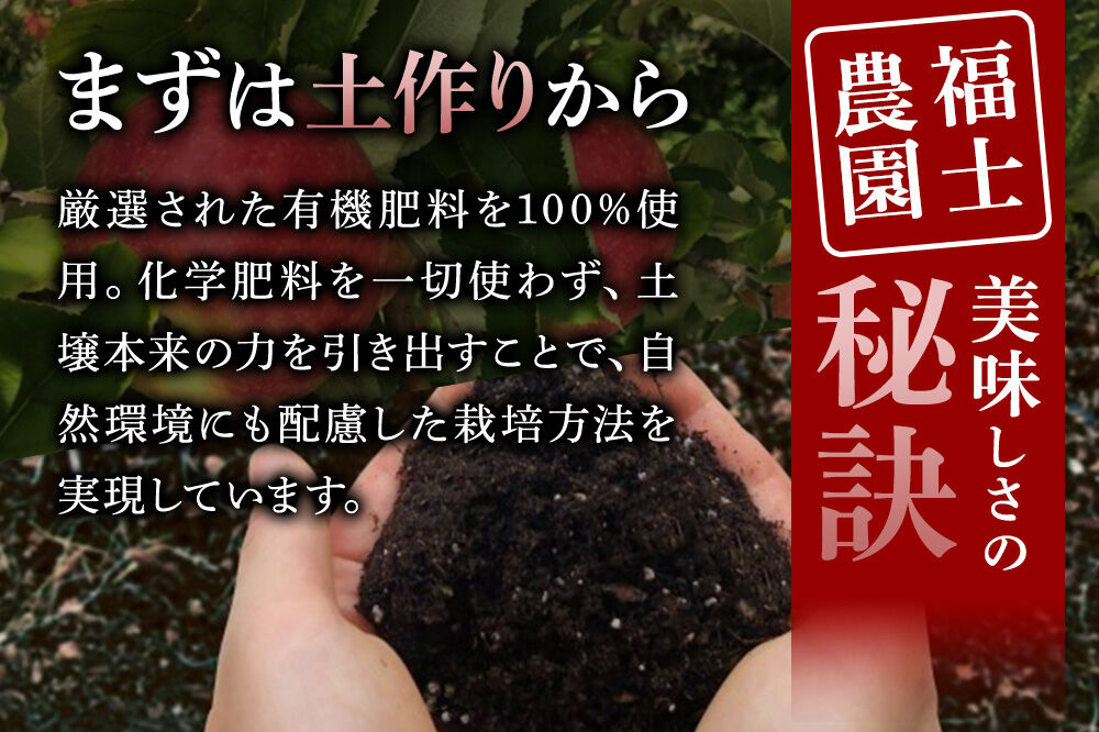 【26年11月発送】りんご シナノゴールド【家庭用】約5kg 青森県 弘前市 [青森県産 産地直送 アップル おいしい 果実 果物 黄色 美味]