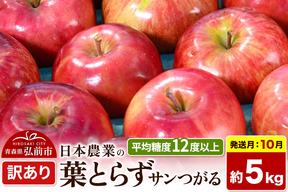 【26年10月発送】りんご 葉とらずサンつがる【訳あり】約5kg 平均糖度12度以上 青森県産 果物 フルーツ 林檎 リンゴ くだもの 不揃い 規格外 [家庭用 産地直送 アップル 青森県 弘前市]