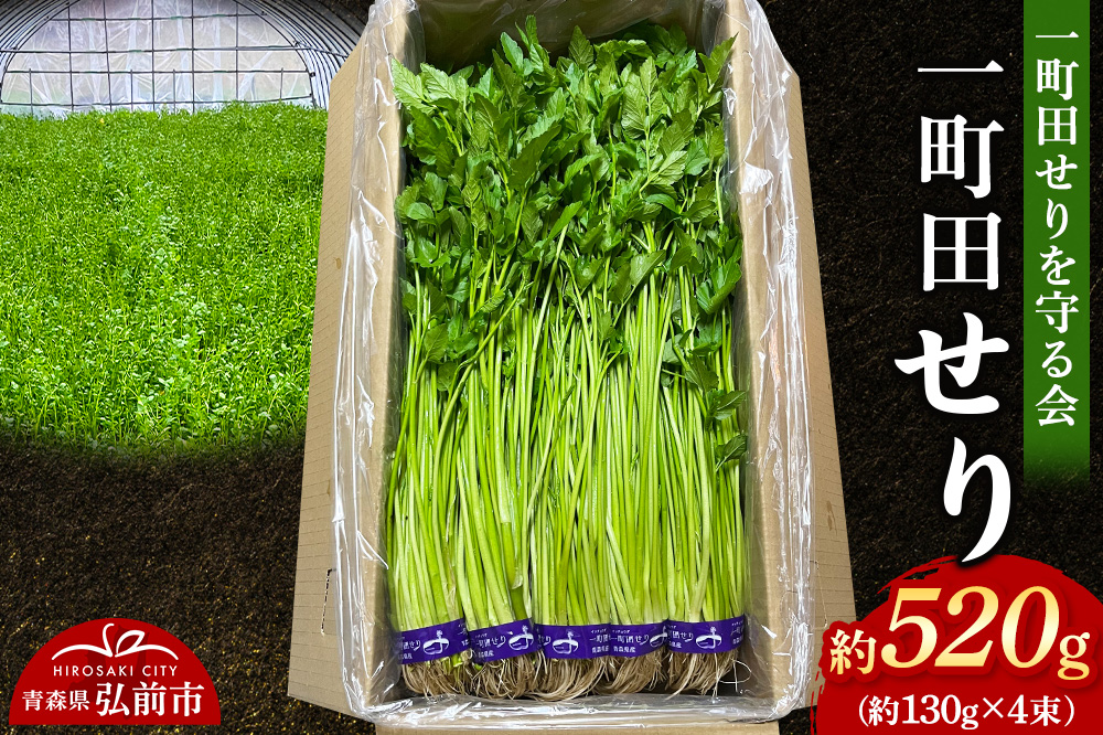 野菜 一町田せり 約520ｇ (約130g×4束)