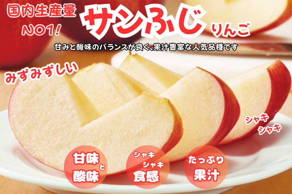 【3月クール便発送 訳あり ご家庭用】りんご サンふじ 3kg ふじりんご 青森県産 青森 果物 フルーツ 林檎 リンゴ くだもの 弘前市