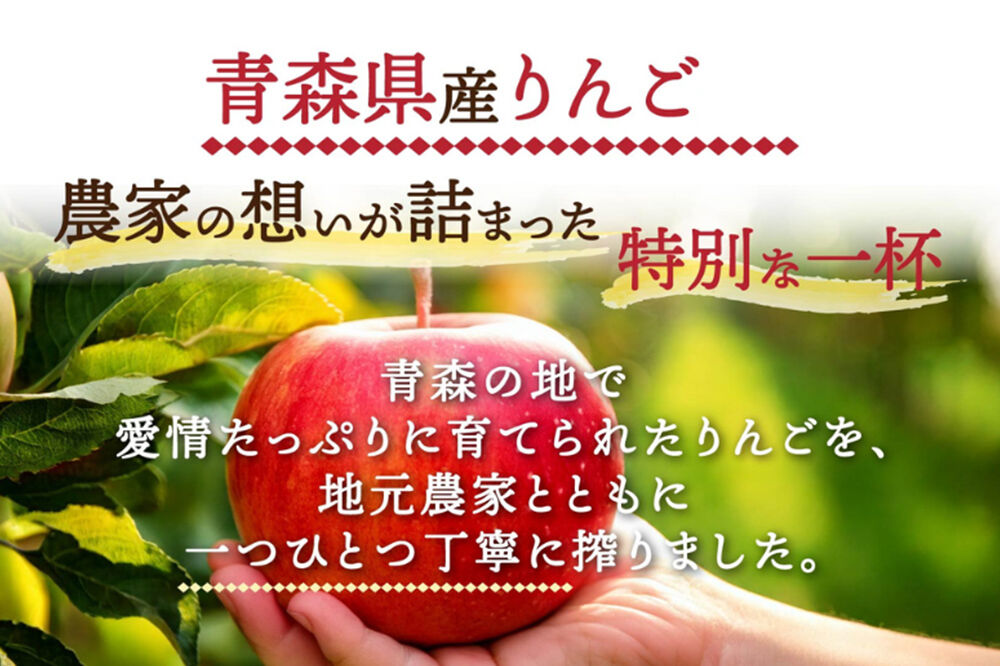 りんごジュース 1L×4本 化粧箱入り ストレート果汁100％ 青森県産 弘前市 [アップル おいしい ジュース ストレート フルーツジュース りんご 飲料 化粧箱 化粧箱入 果実 果汁 果汁100％ 果物 県産 高級 高級感 青森 青森県産 美味 林檎 弘前市]