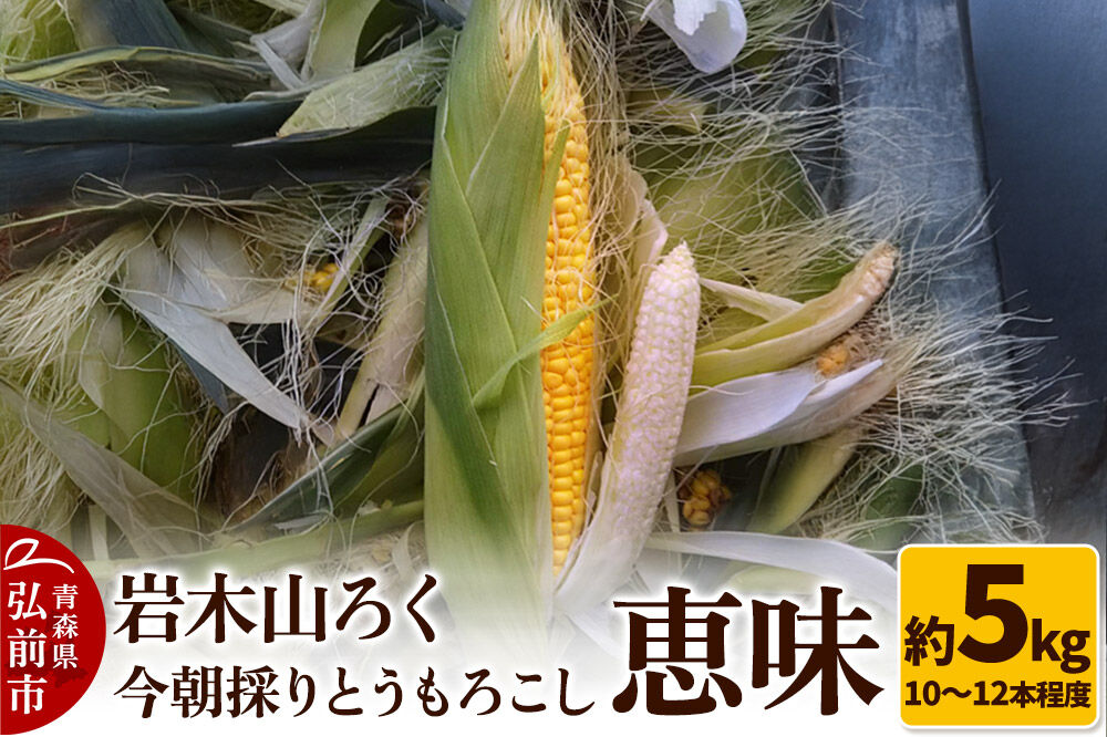 岩木山ろく 今朝採り とうもろこし 恵味 約5kg（10〜12本程度） [産地直送 とうもろこし スイートコーン 平均糖度18度 青森県産 青森県 弘前市]