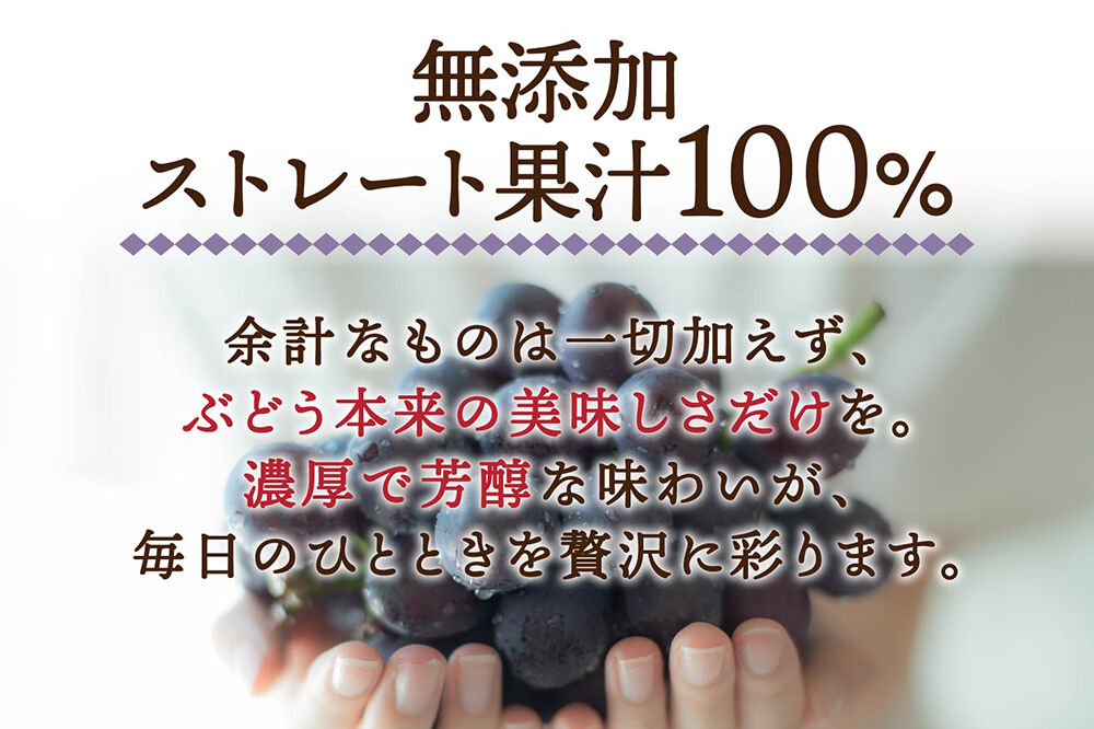 ぶどうジュース 紙パック 1L×6本入り 無添加 ストレート果汁100％ スチューベンジュース 青森県産 弘前市 [おいしい グレープ ジュース ストレート ぶどう ぶどうジュース フルーツ フルーツジュース 飲料 果実 果汁 果汁100％ 果物 県産 青森 青森県産 美味 葡萄 弘前市]