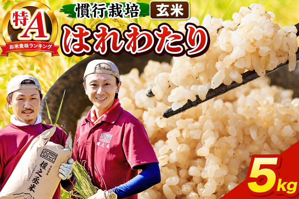 米 はれわたり 5kg［玄米］特A 慣行栽培 青森県産 令和7年産 [お米 東北 玄米 青森県 弘前市 ブランド米]