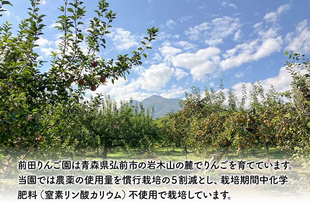 ããã èš³ãã èãšãã ãµã³ãµã çŽ 5kg (16ã20ççšåºŠ) åç°ãããå 鿣® æç© ãã«ãŒã ææª ãªã³ãŽ ãã ãã® äžæã èŠæ Œå€ äºçŽ