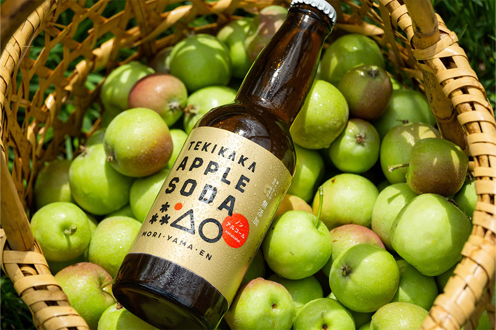 摘果りんごのシードルとノンアルセット テキカカシードル（ラガー） ＆ アップルソーダ 各330ml×3本 計6本 お酒 青森 弘前 林檎 リンゴ
