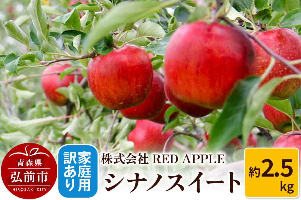 【26年10月〜発送】りんご【訳あり】家庭用 シナノスイート 約2.5kg 先行受付 [アップル おいしい シナノ シナノスイート りんご 黄色 果実 果物 美味 林檎]