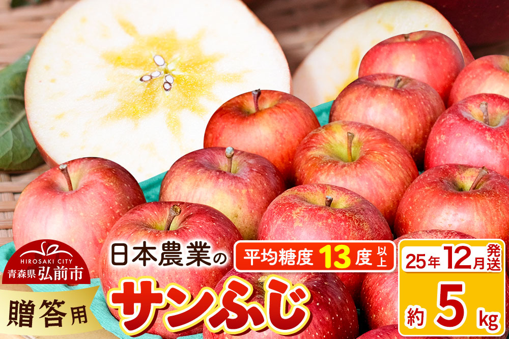 【25年12月発送】りんご 平均糖度13度以上！ サンふじ 約5kg 贈答用 青森 果物 フルーツ 林檎 リンゴ くだもの