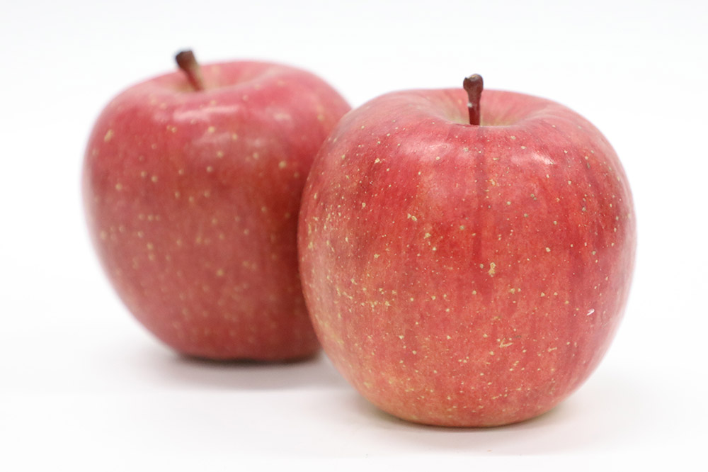 【26年5月発送・先行受付・クール便】りんご 贈答用 白熊 シナノスイート 約3kg（9〜12玉程度）スマートフレッシュ 糖度13度