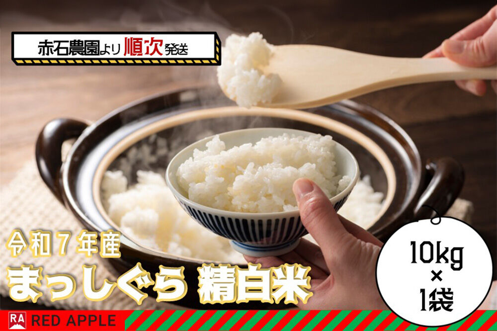 まっしぐら 白米 10kg 青森米 令和7年産 青森県 弘前市 [ごはん 精米 ブランド米 東北]