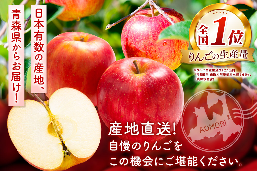 【26年5月発送】りんご 平均糖度13度以上！ サンふじ 約5kg おもてなし用 CA貯蔵 クール便 青森 果物 フルーツ 林檎 リンゴ くだもの