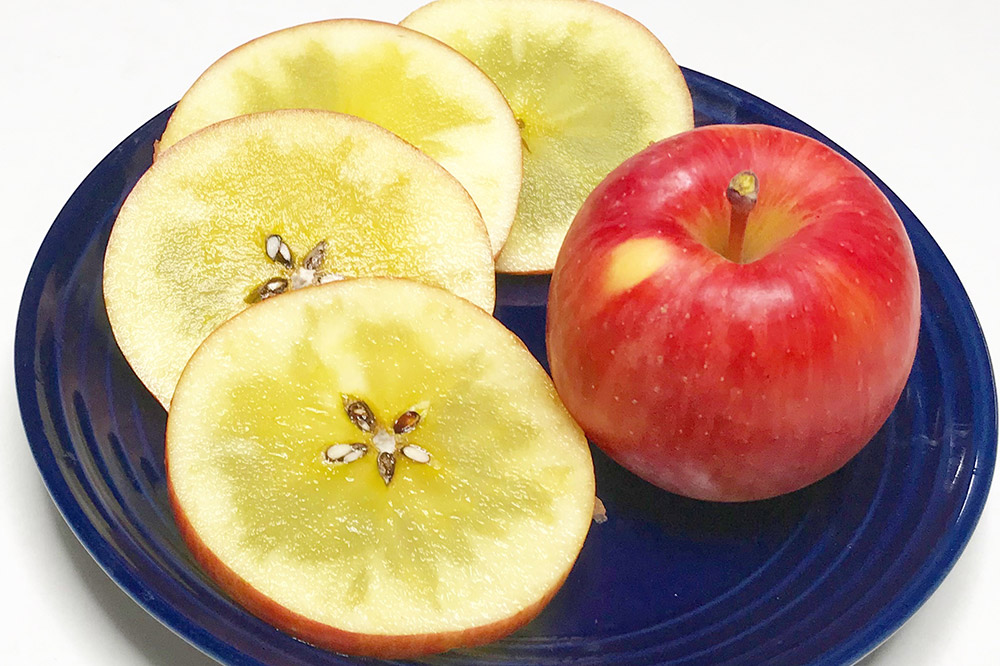 りんご 特選 高徳（ こうとく ）りんご 約2kg