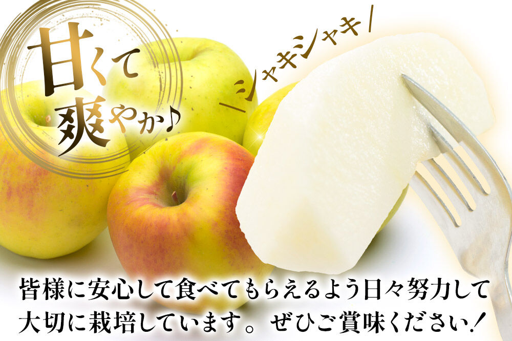 【26年10月下旬〜発送】りんご 名月【贈答用】約3kg カワムラファーム 青森県 弘前市 果物 フルーツ 林檎 リンゴ くだもの ギフト 贈り物 [産地直送 アップル おいしい 果実 美味 甘い 黄色]