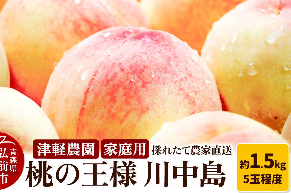 【26年8月発送】もも【2026年産 桃の王様 川中島】家庭用 約1.5kg 5玉程度 津軽農園 採れたて 農家直送