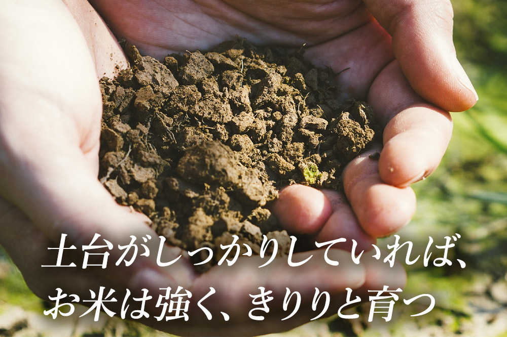 米 【弘前市・戸澤農場】令和7年産 青森県産はれわたり（らく米・無洗米）3kg（300g×10袋）【白米】