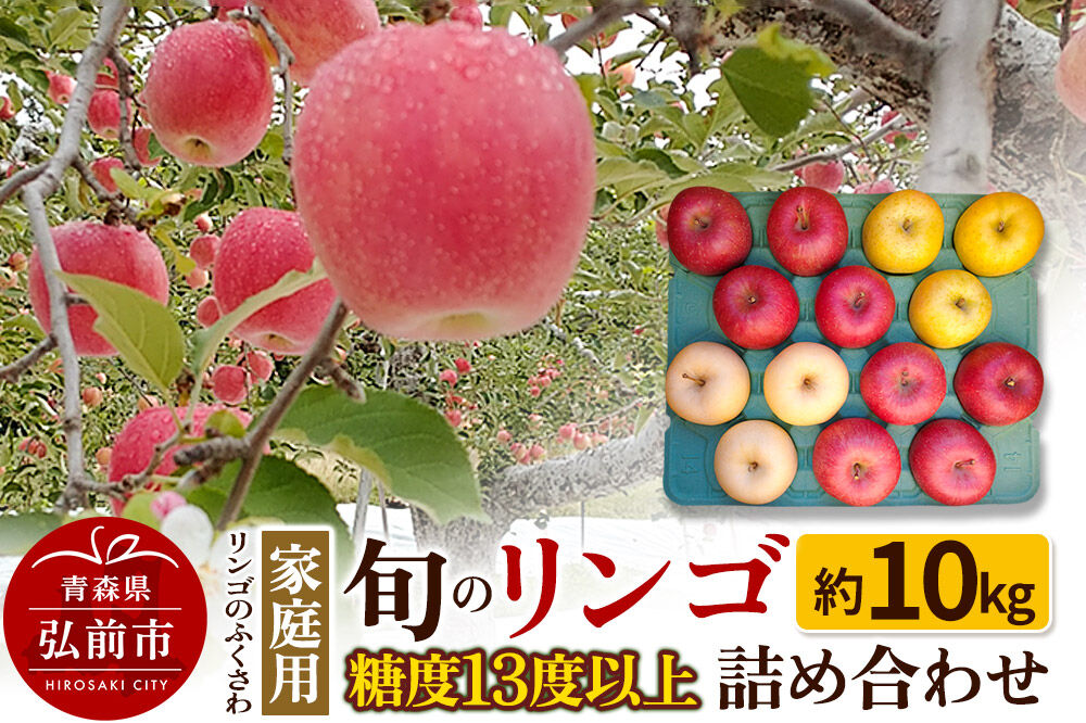 【26年11月〜発送】りんご 家庭用 旬のリンゴ詰め合わせ 約10kg 糖度13度以上 [先行予約 アップル おいしい りんご 果実 果物 詰め合わせ 詰合 糖度 美味 林檎]