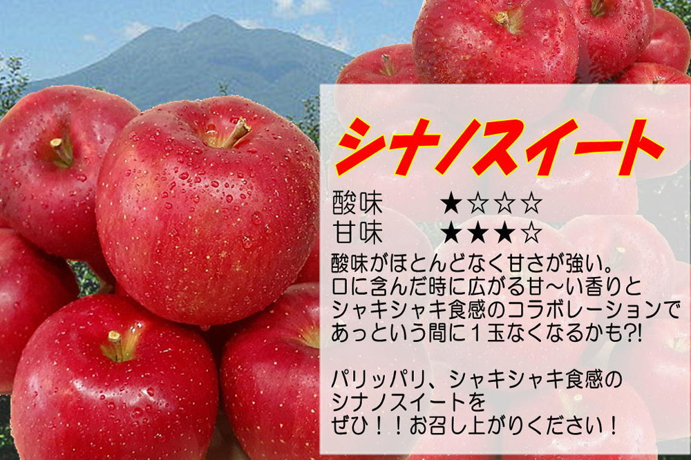 【26年5月発送・先行受付・クール便】りんご 訳あり家庭用 白熊 シナノスイート 約5kg（14〜20玉程度） スマートフレッシュ 糖度13度
