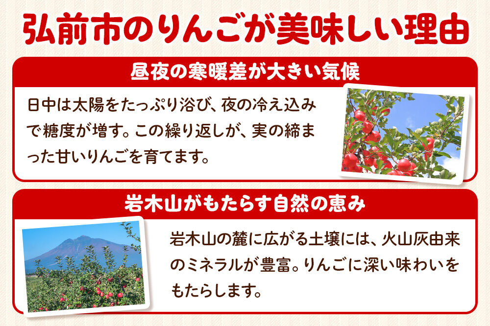 【26年11月〜発送】りんご 葉とらず サンふじ【訳あり】約6kg 高谷農園 先行受付 家庭用 青森県 弘前市 果物 フルーツ 林檎 リンゴ くだもの 不揃い 規格外 [先行予約 産地直送 アップル おいしい 果実 美味 甘い 赤色]