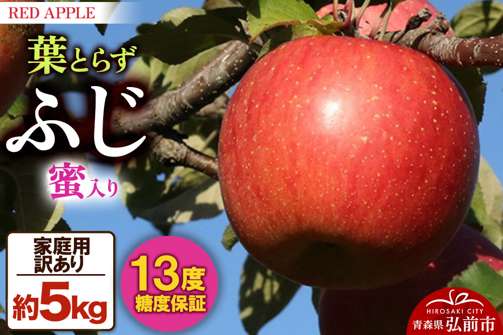 りんご 13度糖度保証【訳あり】家庭用 葉とらずふじ 約5kg