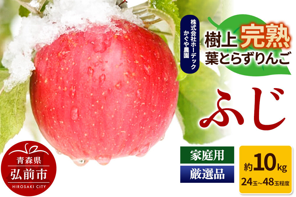 りんご ふじ 約10kg（24玉〜48玉程度）樹上完熟葉とらず【家庭用】厳選品 青森県産 りんご