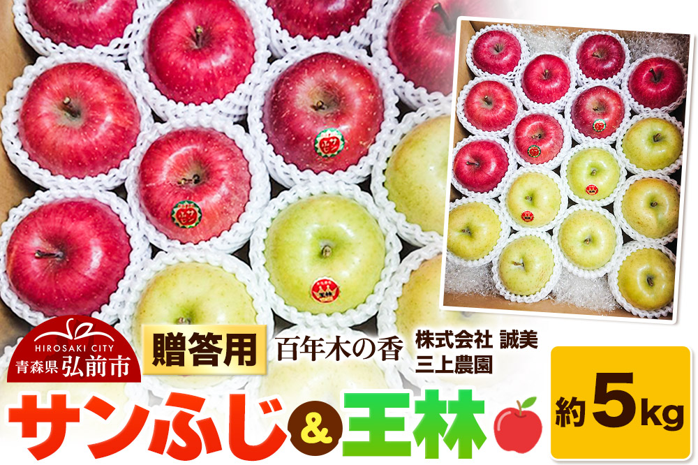 【25年12月〜発送】りんご 贈答用 百年木の香 三上農園 サンふじ＆王林 約5kg【先行受付】 青森 果物 フルーツ 林檎 リンゴ くだもの 予約