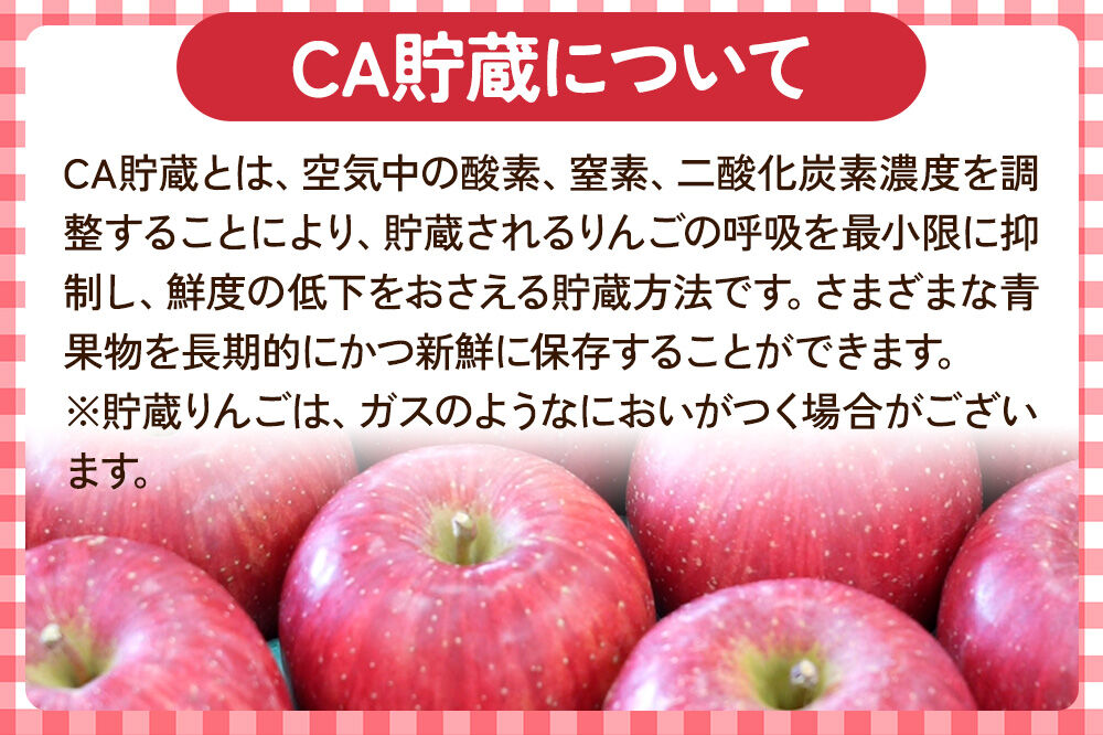 【26年5月クール便発送】りんご シナノゴールド【訳あり】約3kg【CA貯蔵】キタエアップル [不揃い 規格外 アップル 産地直送 青森県 弘前市 詰め合わせ セット 果物 フルーツ 林檎 リンゴ くだもの]