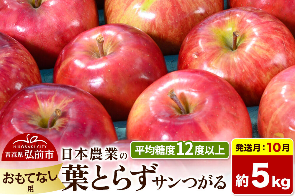 【26年10月発送】りんご 葉とらずサンつがる【おもてなし用】約5kg 平均糖度12度以上 青森県産 果物 フルーツ 林檎 リンゴ くだもの [産地直送 アップル 青森県 弘前市]