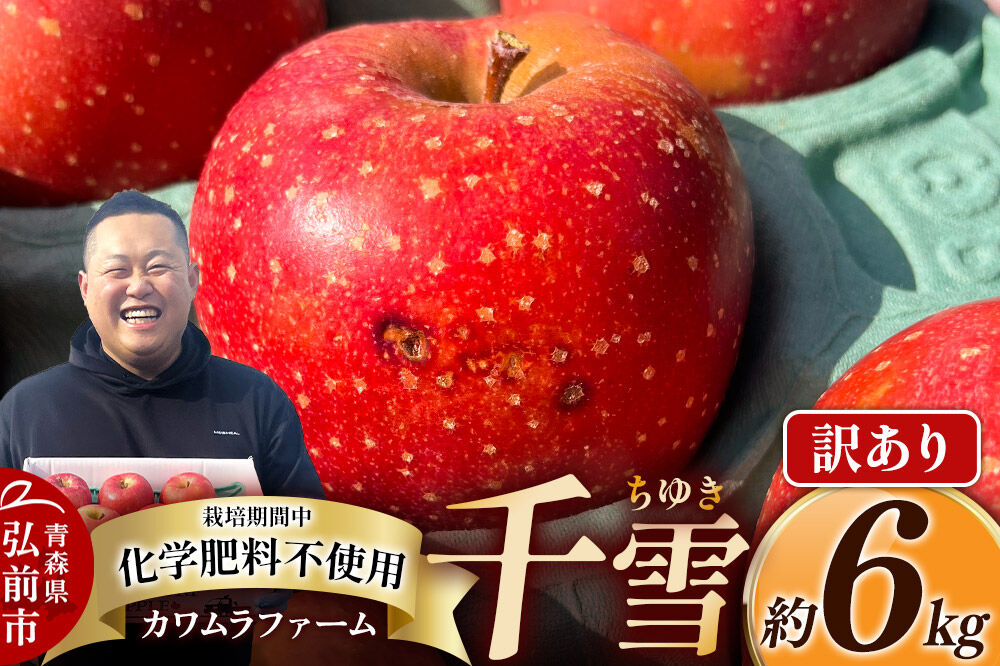 【寄附金額見直しました】【26年10月下旬〜発送】りんご 千雪 約6kg カワムラファーム【訳あり】青森 果物 フルーツ 林檎 リンゴ くだもの [先行受付 アップル おいしい ちゆき 果実 果物 赤色 美味 林檎 弘前市]