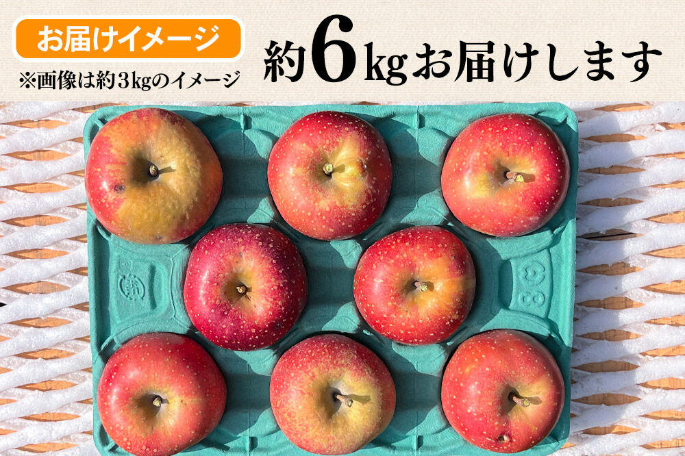 【26年10月下旬〜発送】りんご 千雪 約6kg カワムラファーム【訳あり】青森 果物 フルーツ 林檎 リンゴ くだもの [先行受付 アップル おいしい ちゆき 果実 果物 赤色 美味 林檎 弘前市]