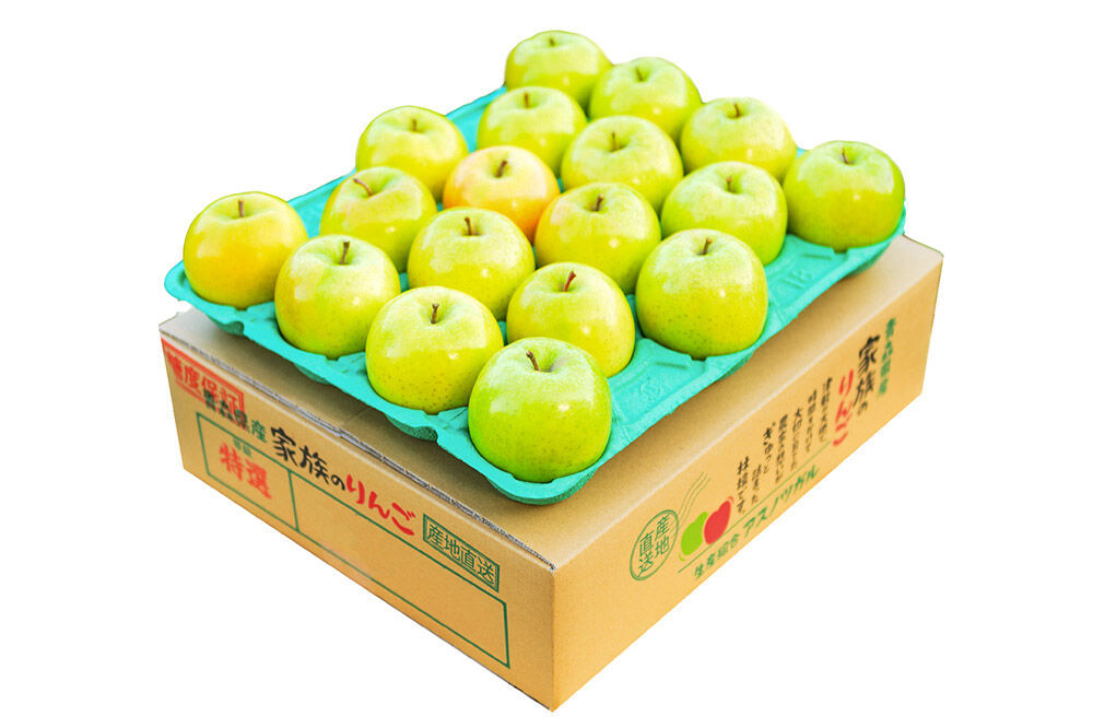 【27年4月クール便発送】りんご シナノゴールド【訳あり】約5kg【CA貯蔵】平均糖度13度以上 青森県 弘前市 果物 フルーツ 林檎 リンゴ くだもの 不揃い 規格外 [先行受付 家庭用 産地直送 アップル 青森県 弘前市]