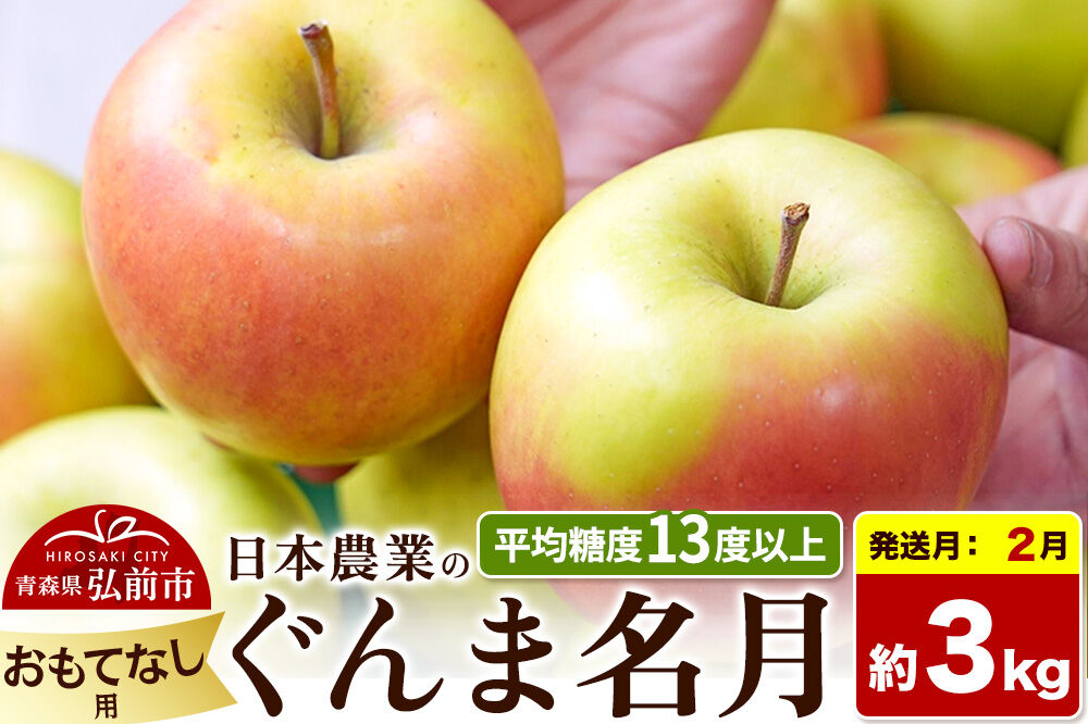【27年2月発送】りんご ぐんま名月【おもてなし用】約3kg 平均糖度13度以上 青森県 弘前市 果物 フルーツ 林檎 リンゴ くだもの 先行受付 [先行受付 産地直送 アップル 青森県 弘前市]