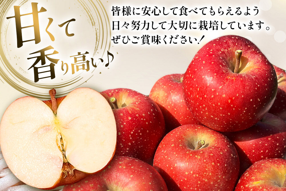 【26年10月下旬〜発送】りんご 千雪 約6kg カワムラファーム【家庭用】青森 果物 フルーツ 林檎 リンゴ くだもの [先行受付 アップル おいしい ちゆき 果実 果物 赤色 美味 林檎 弘前市]