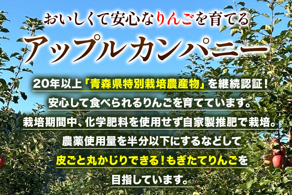 《定期便3ヶ月》3種のりんごジュース 1L×6本 計6L 無添加 ストレート果汁100％！ 青森県特別栽培農産物認証農園 [アップル おいしい ジュース ストレート フルーツジュース りんご 飲料 果実 果汁 果汁100％ 果物 置き場に困らない 定期発送 定期便 買い忘れ防止 美味 便利 林檎]