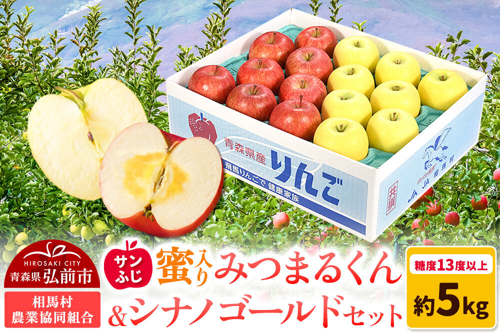 【26年11月〜発送】りんご 蜜入り サンふじ（みつまるくん）＆シナノゴールド セット 約 5kg [アップル おいしい シナノ シナノゴールド セット セット品 ふじ りんご 黄色 果実 果物 赤色 美味 林檎]