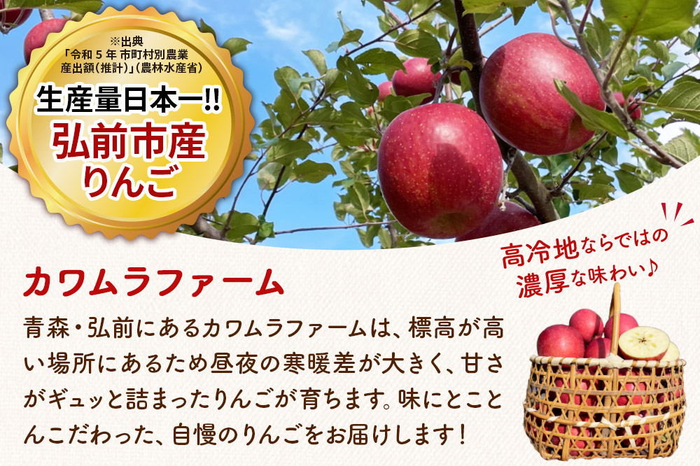 【25年11月〜発送】りんご 名月 約3kg カワムラファーム 贈答用【先行受付】 青森 果物 フルーツ 林檎 リンゴ くだもの 予約