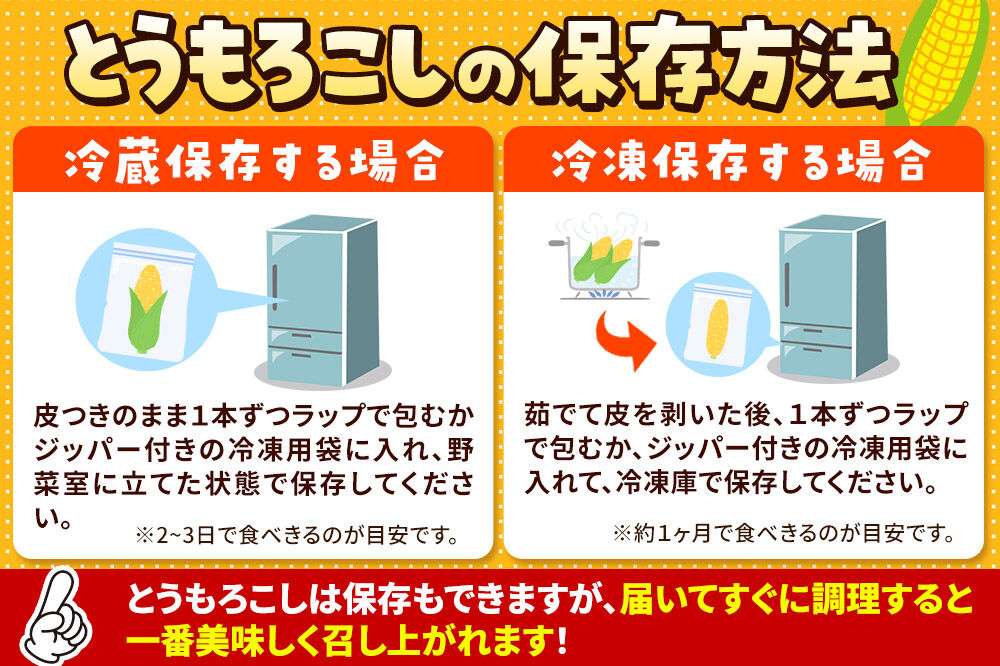 【26年7月〜発送】とうもろこし 朝採り 嶽きみ（だけきみ） 10本 L〜2Lサイズ 冷蔵 青森県 弘前市 [とうもろこし 朝採り 嶽きみ だけきみ 冷蔵 高糖度]